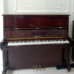 Đàn Piano Steinrich A57