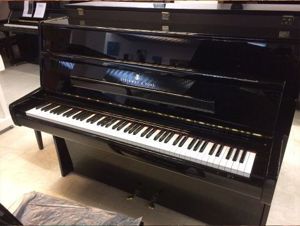 Đàn Piano Steinway Z114