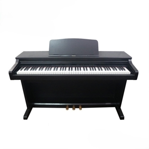 Đàn Piano Technics PX-105