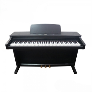 Đàn Piano Technics PX-105