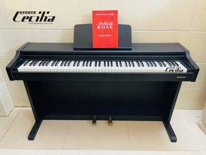 Đàn Piano Technics SX-PC10