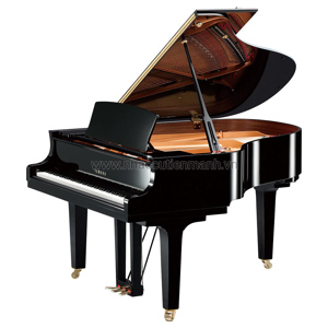 Đàn piano Yamaha C2X