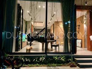 Đàn piano Yamaha C3X