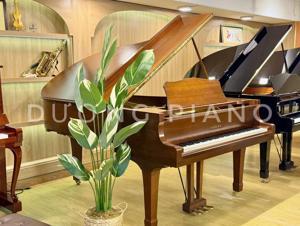 Đàn piano Yamaha C5