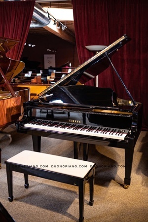 Đàn piano Yamaha C5