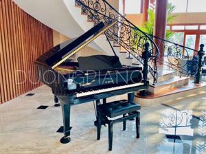 Đàn piano Yamaha C5