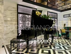 Đàn piano Yamaha C5A