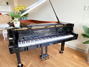 Đàn Piano Yamaha C7B