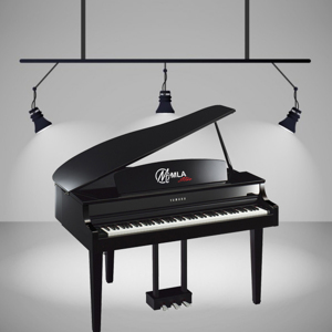 Đàn Piano Yamaha CLP-665GP