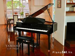 Đàn Piano Yamaha CLP-795 GP