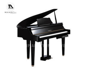 Đàn piano Yamaha DGP2XG