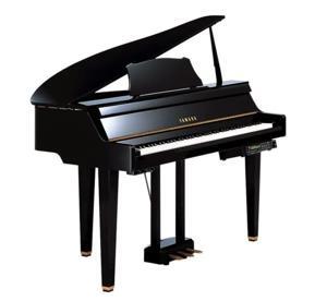 Đàn piano Yamaha DGP2XG