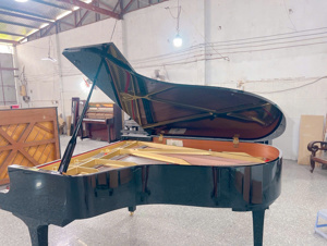 Đàn piano Yamaha G5E