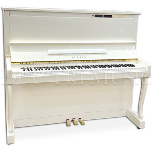 Đàn Piano Yamaha MX200MR