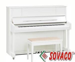 Đàn Piano Yamaha MX200MR