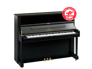 Đàn piano Yamaha MX300R