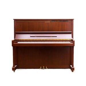 Đàn piano Yamaha MX300R