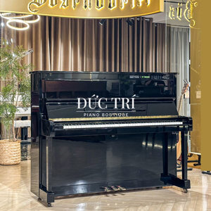 Đàn Piano Yamaha SX100RBL