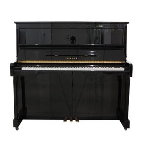 Đàn Piano Yamaha SX101RBL