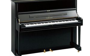 Đàn Piano Yamaha U1D