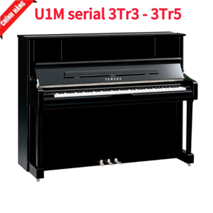 Đàn Piano Yamaha U1M