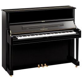 Đàn piano Yamaha U2 D