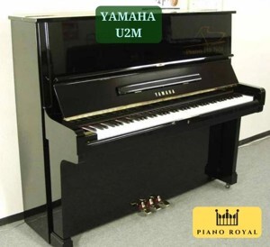 Đàn Piano Yamaha U2M