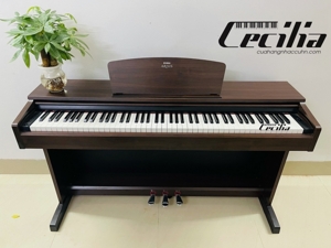 Đàn piano Yamaha YDP-140