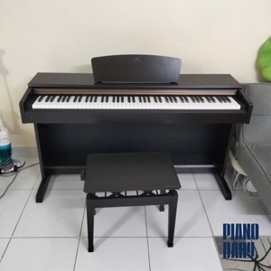 Đàn Piano Yamaha YDP161R