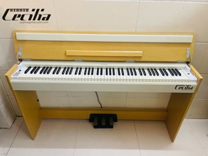 Đàn piano Yamaha YDPS30