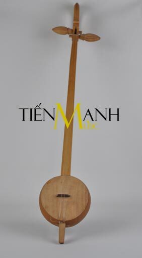 Đàn Tính DT01