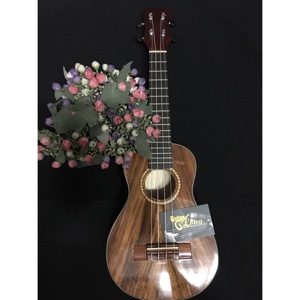 Đàn Ukulele DC800