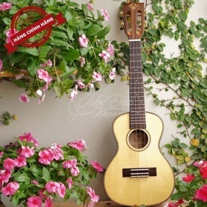Đàn Ukulele VALOTE VA-24M01