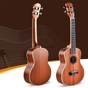 Đàn Ukulele Vines UK21-30