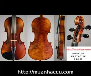 Đàn Violin Scott Cao STV017E