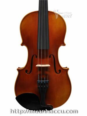 Đàn Violin Scott Cao SYV150