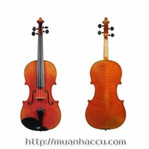 Đàn Violin Scott & Guan Violin STV013