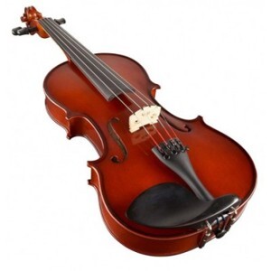 Đàn violin Selmer SR41E4H