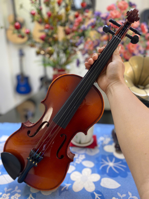Đàn violin Suzuki FS-10 4/4