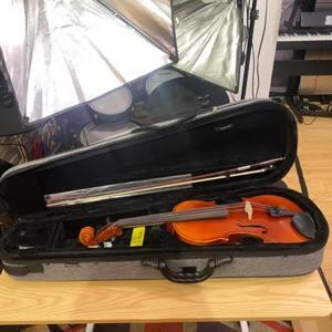 Đàn Violin suzuki NS20