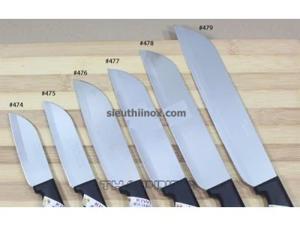 Dao Kiwi Thailand 477