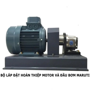 Đầu bơm bánh răng bằng gang Maruti ME-075 1HP
