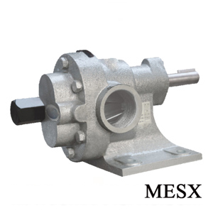 Đầu bơm bánh răng bằng inox Maruti MESX-150 - 3HP
