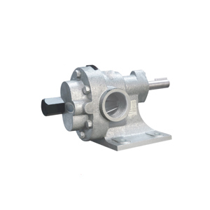 Đầu bơm bánh răng bằng inox Maruti MESX-150 - 3HP