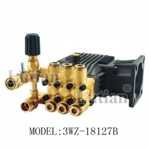 Đầu bơm cao áp Lutian 3WZ-18127B - 3KW