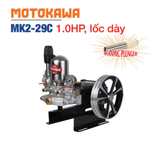 Đầu bơm cao áp Motokawa MK2-29C