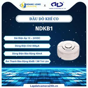 Đầu dò khí cacbon Horing NDKB1