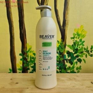 Dầu gội cho tóc dầu Beaver Scalp Balancing Shampoo +++8 768ml