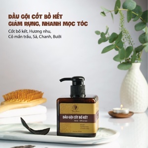 Dầu gội cốt bồ kết WonMom 250ml