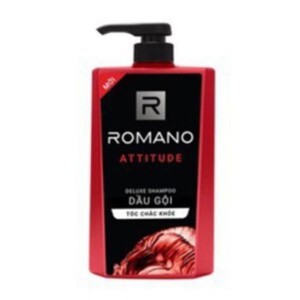 Dầu gội đầu Romano Attitude 650g